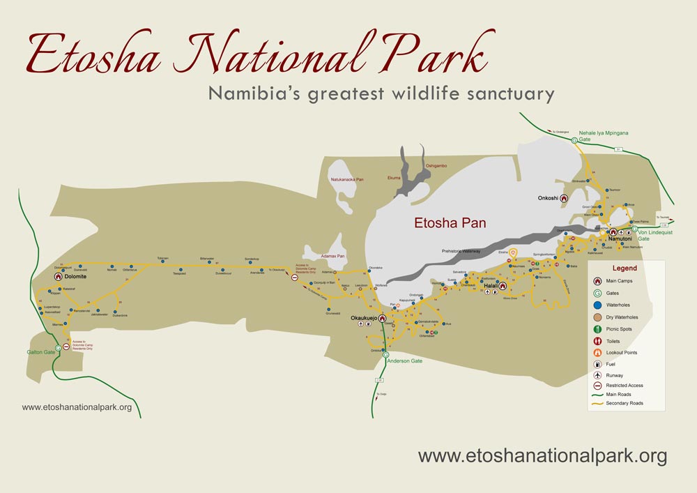 Etosha National Park 4